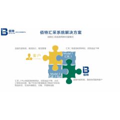 佰特汇采解决方案-两种模式