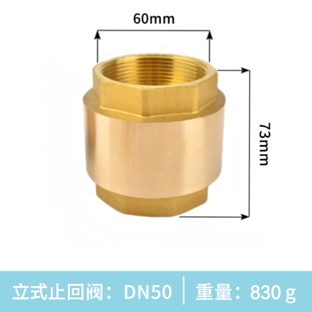 SKU-16-立式止回阀DN50(2寸）.jpg