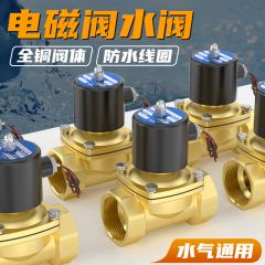 佰特 电磁开关阀 黄铜款 DC12V 常闭电磁阀水阀气阀
