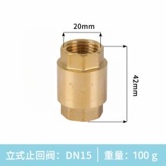 佰特 铜立式止回阀水表水管管道单向阀水泵止回阀注浆管止回阀