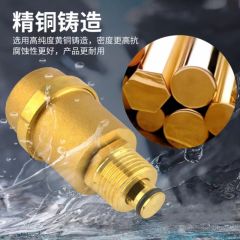 佰特 黄铜加厚自动排气阀自来水暖气阀立式地暖放气阀